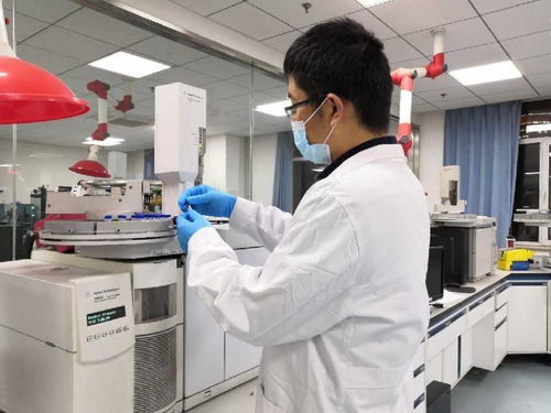 中国农科院发布三大领域重大成果 聚焦产品创制、技术突破与智库报告，引领农业科技创新